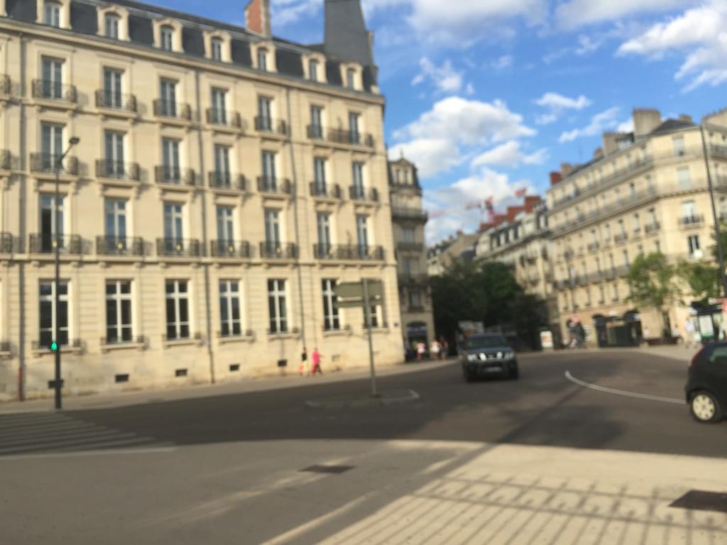 Ideal Art Deco Compris Un Parking Prive Securise Darcy Liberte Centre Gare-Ville Dijon Kültér fotó